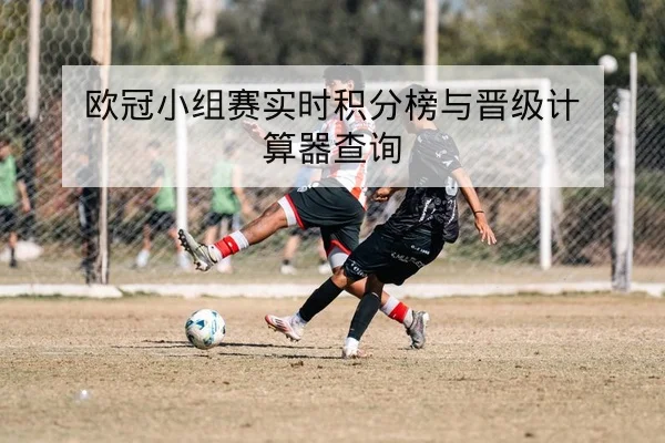 欧冠小组赛实时积分榜与晋级计算器查询